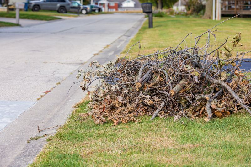 Contact About Leaf Removal