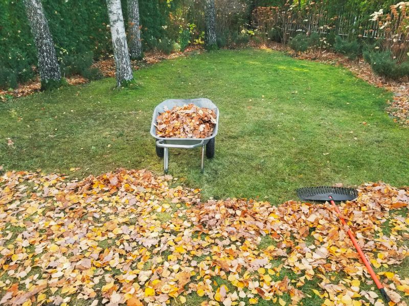 Yard Preparation for Winter