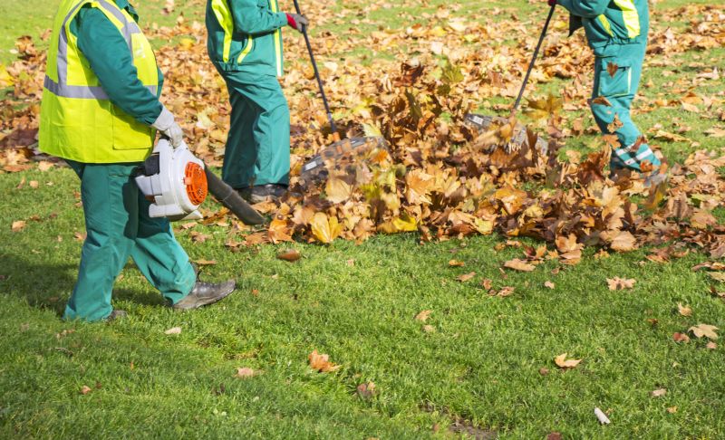 Products For Leaf Removals in use